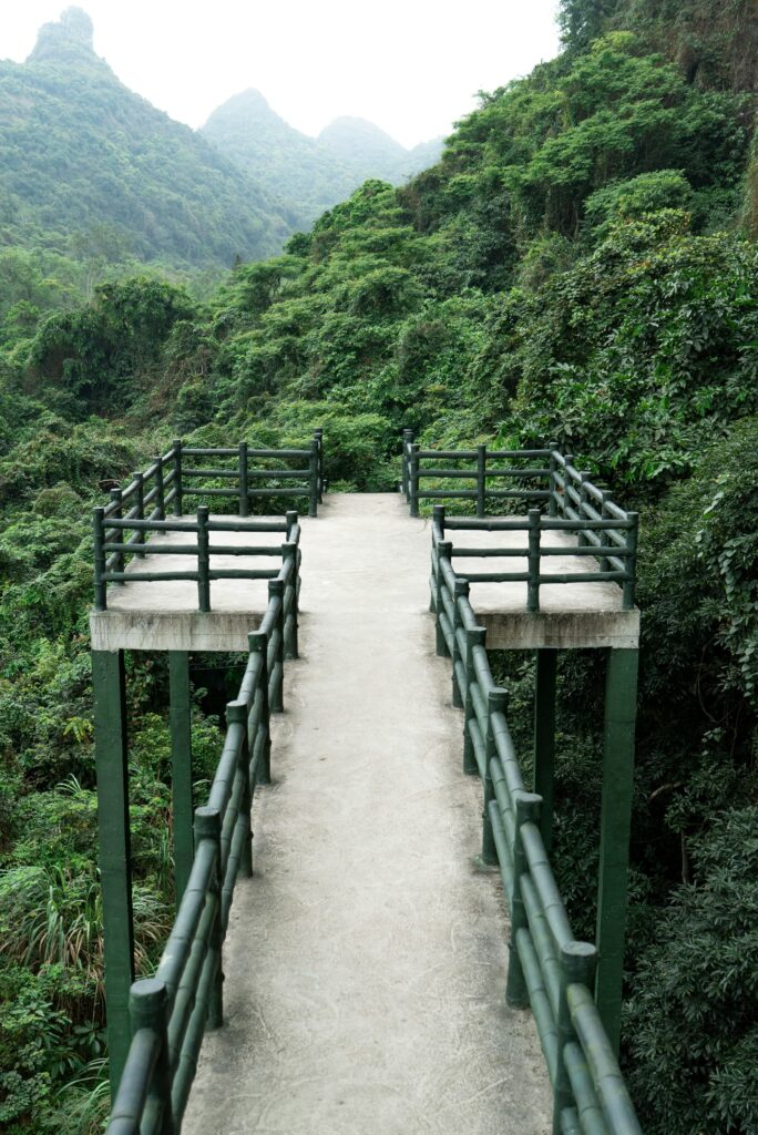 E_Green Platform
