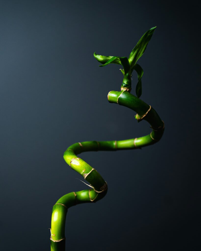 alejandro-luengo-IIlSdskvSd4-unsplash-2